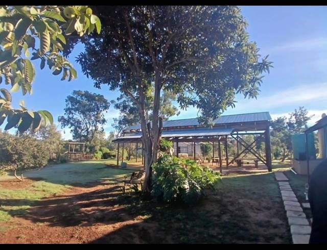 FARM FOR SALE IN UITENHAGE RURAL